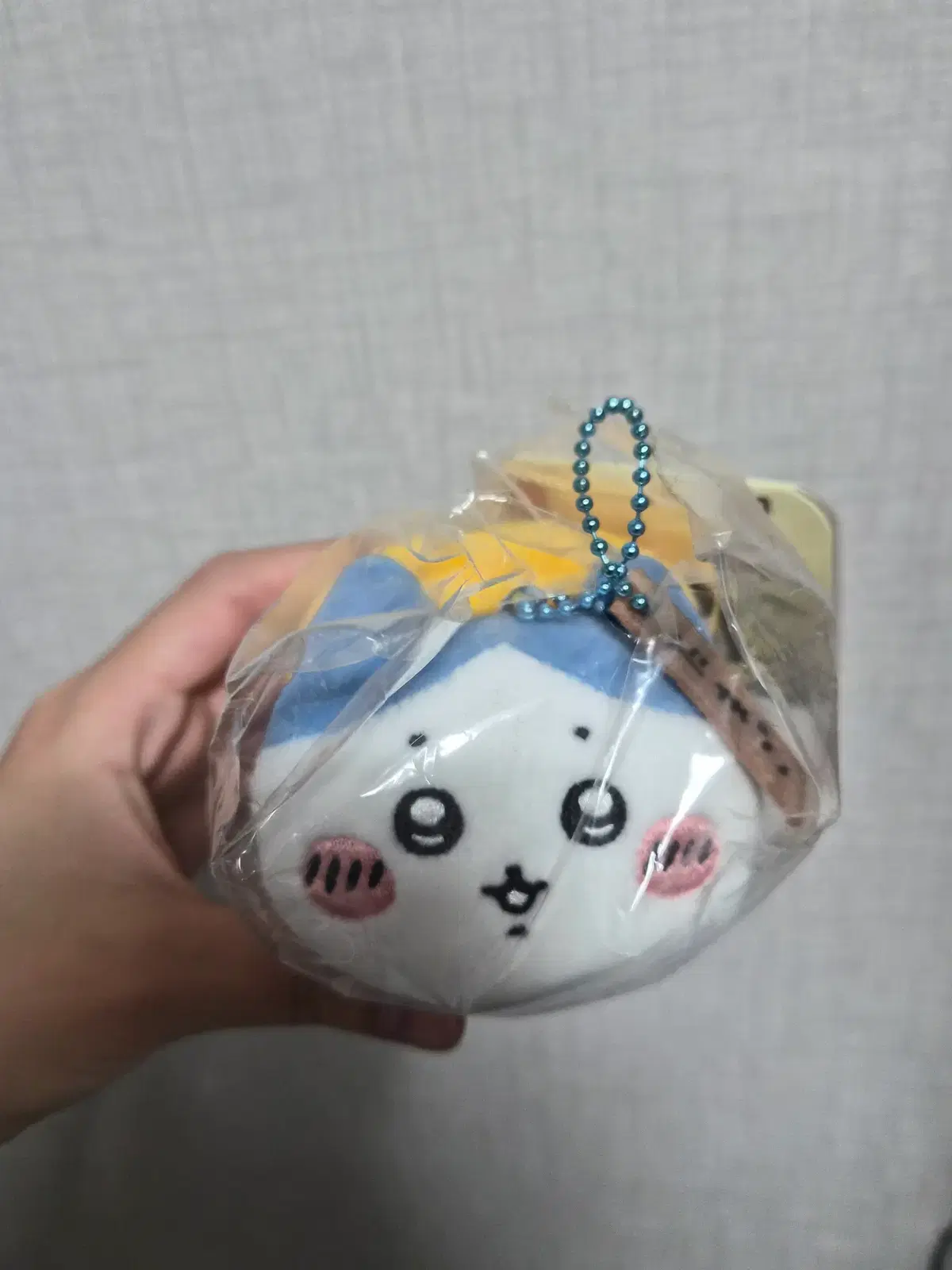 치이카와스시 하치와레 마스코트