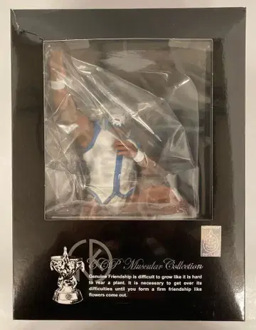 CCP CCP 머슬 컬렉션 마리포사 2.0 승리 포즈 Ver. 원작 컬러 76