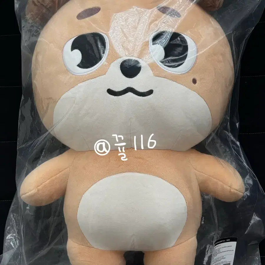 데이식스 day6 도운 인형 자이언트 데니멀즈 자멀 돈이 돈 원가이하