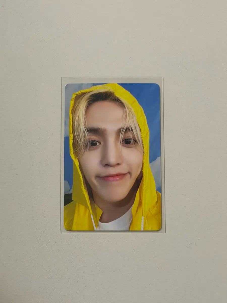 에스쿱스 포카