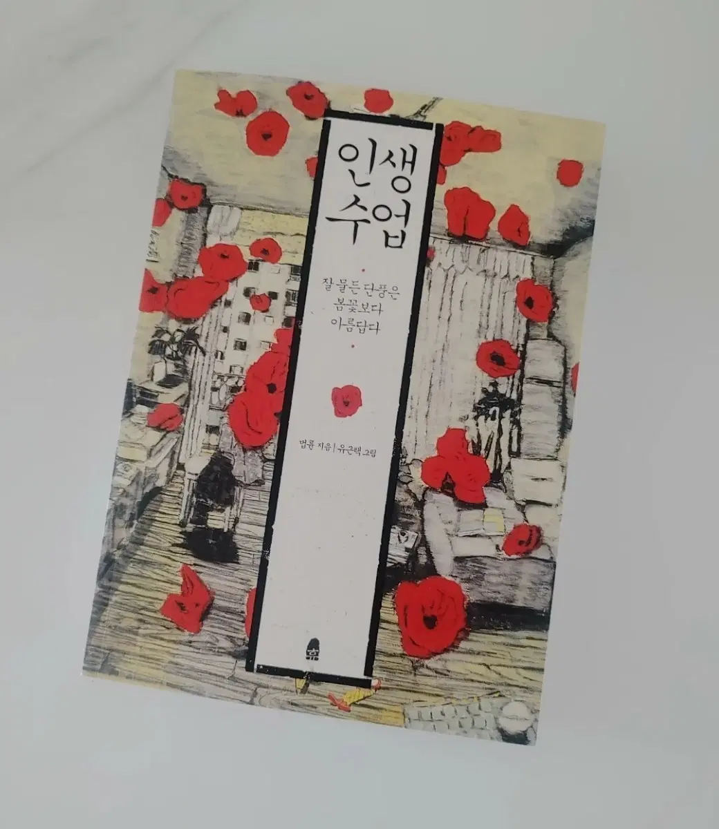 인생수업/법륜스님 도서