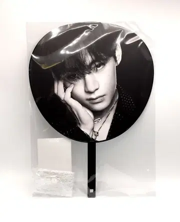 BTS 아리랑 월드 투어 V 이미지 피켓