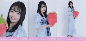 노기자카46 회장 한정판 브로마이드 오즈 레이나 2026 August 후쿠오카현 ver. 코디 컴프