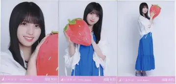 노기자카46 회장 한정판 브로마이드 우미베 아카리 2026 August 후쿠오카현 ver. 코디 컴프