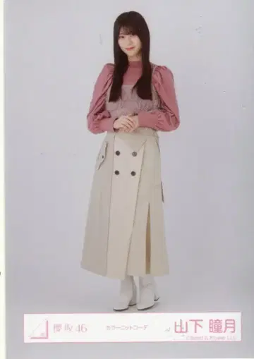 사쿠라자카46 3기생 라이브 야마시타 시즈키 컬러 니트 코디 히키