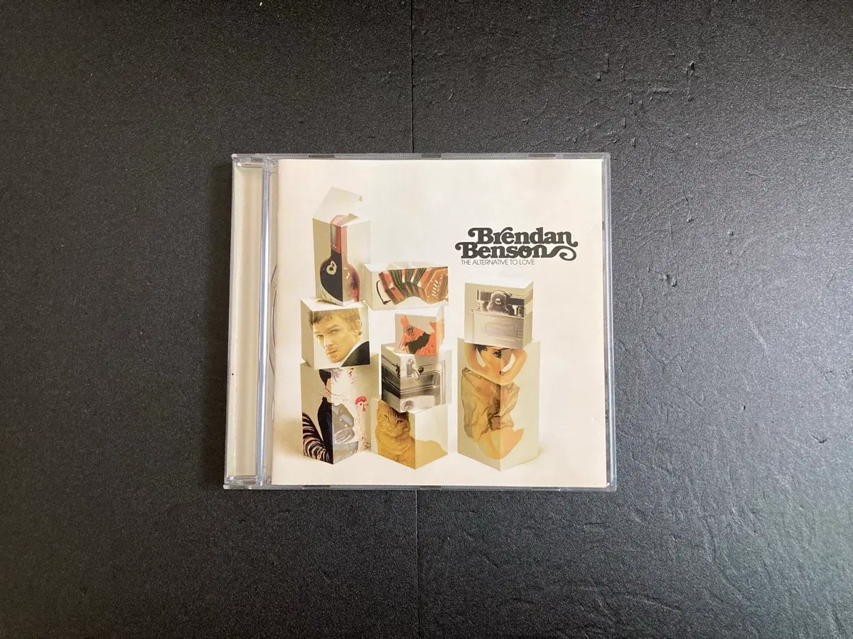 브랜든 벤슨-The Alternative To Love 수입CD