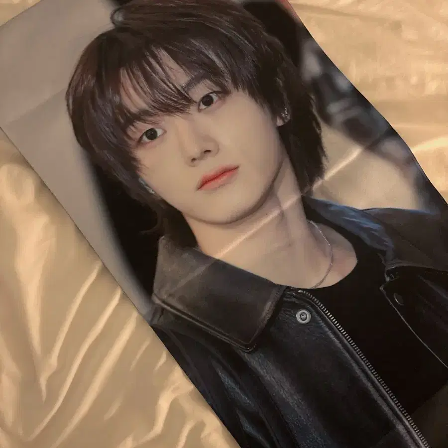 보이넥스트도어 성호 슬로건 양도 성호리우재현태산이한운학