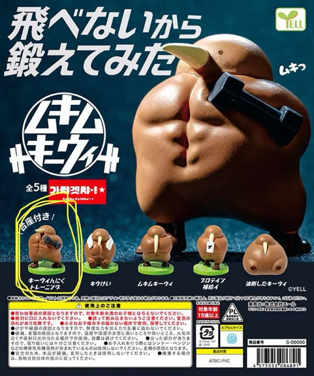 YELL 키위새 근육 단련 몸짱 피규어 가챠
