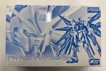 BANDAI SPIRITS RG 1/144 반다이판 스트라이크 프리덤 건담 티타늄 피니쉬