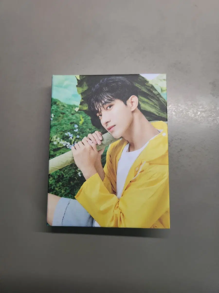 세븐틴 도겸 캐럿반 미니11집