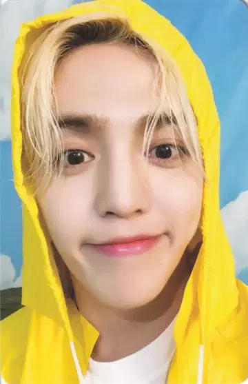 SEVENTEEN HEAVEN S.COUPS 트레이딩 카드 CARAT