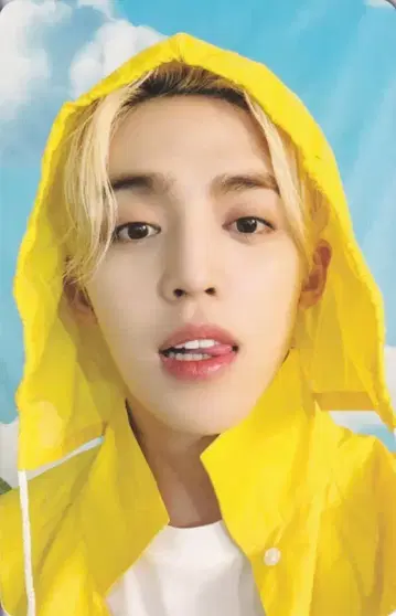 세븐틴 에스쿱스 세븐틴스 헤븐 캐럿
