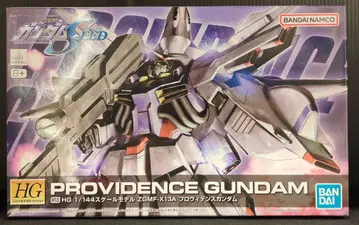 BANDAI SPIRITS HG GUNDAM SEED 1/144 반다이남코판 프로비던스 건담 R13