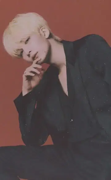 SEVENTEEN POWER OF LOVE 정한 트레이딩 카드 0002