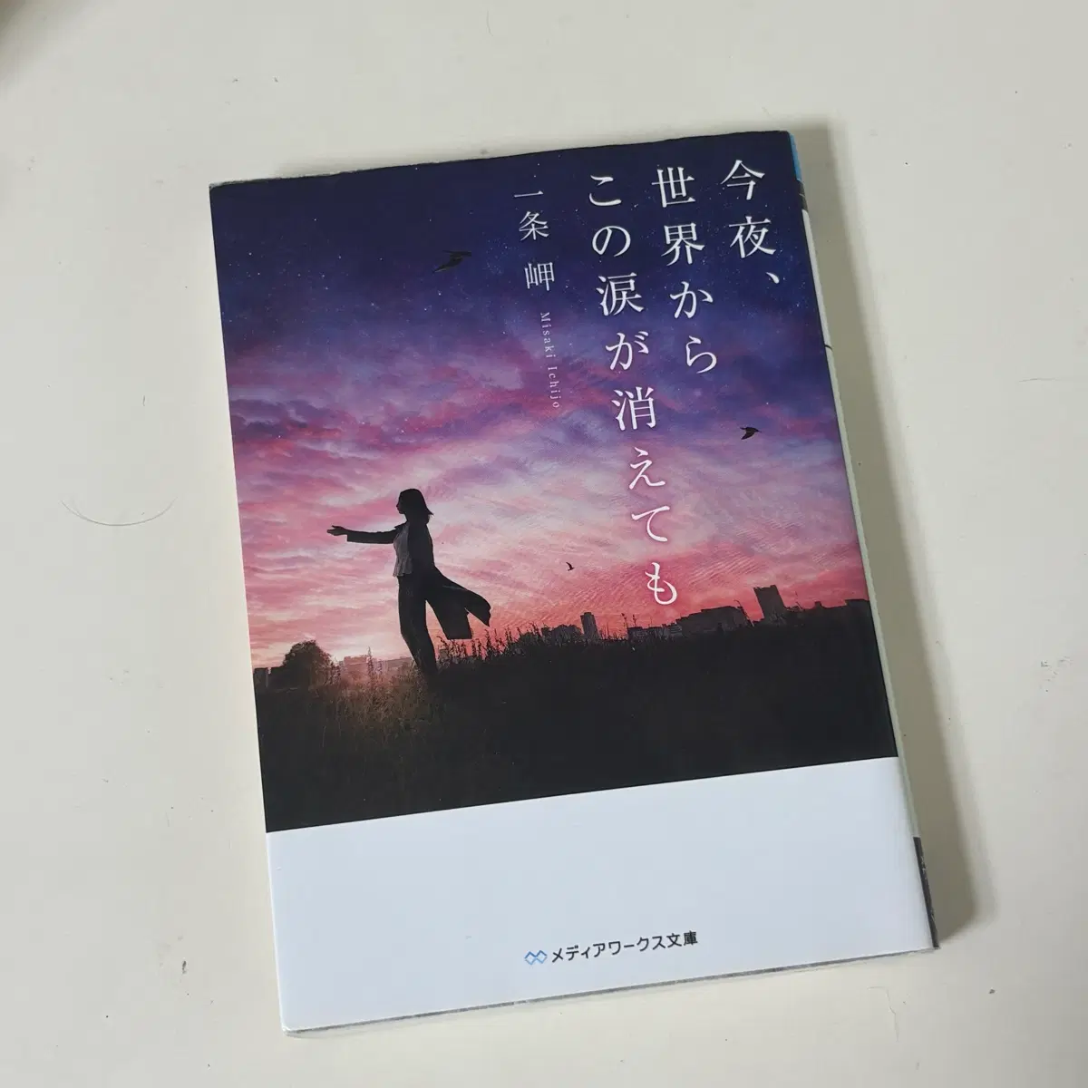 오늘밤 세계에서 이 사랑이 사라진해도 원서