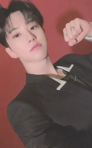 SEVENTEEN POWER OF LOVE HOSHI 트레이딩 카드 0080