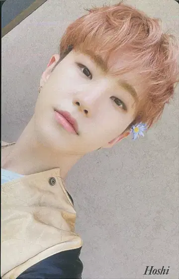 SEVENTEEN HMV HOSHI Your Choice