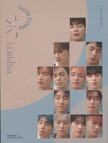 SEVENTEEN 초회 한정판 C 떨어지는 꽃잎 (Fallin' Flower)