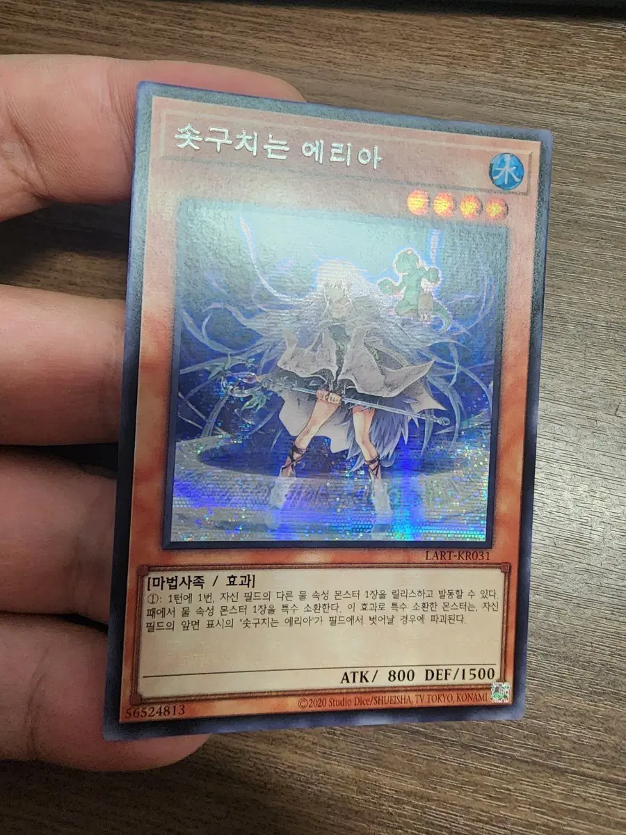 유희왕 솟구치는 에리아 로스트아트 시크
