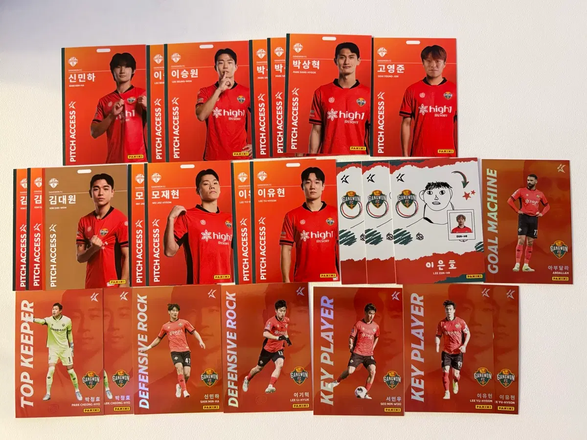 강원 FC K리그 파니니카드