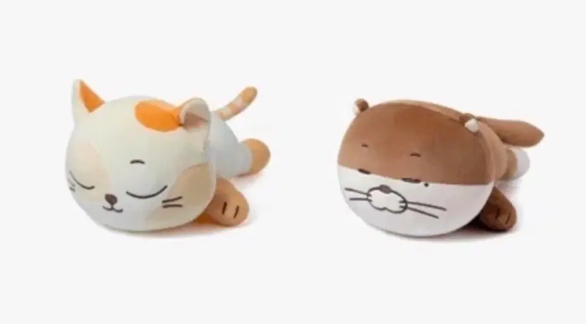 구함)) 보넥도 쁘넥도 캣삐 달링 쿠션 누워있는 쿠션