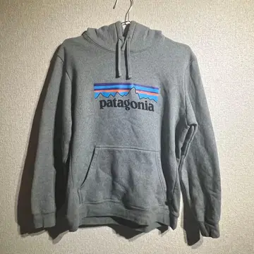 파타고니아 후드티 그레이