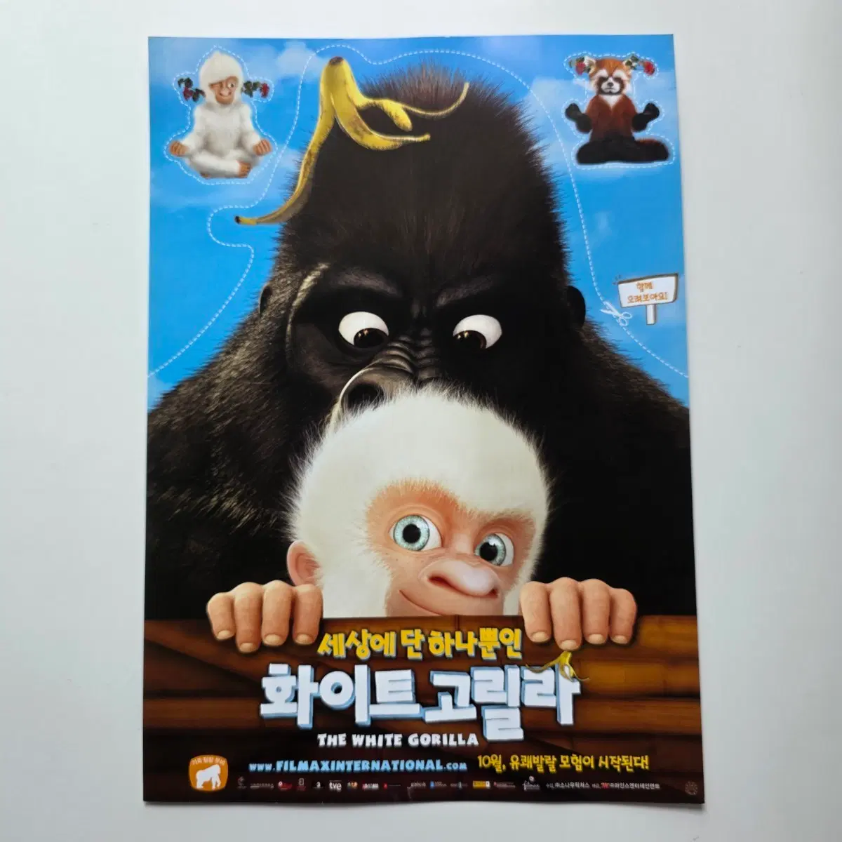 [전단지] 화이트 고릴라 2013 애니메이션 포스터
