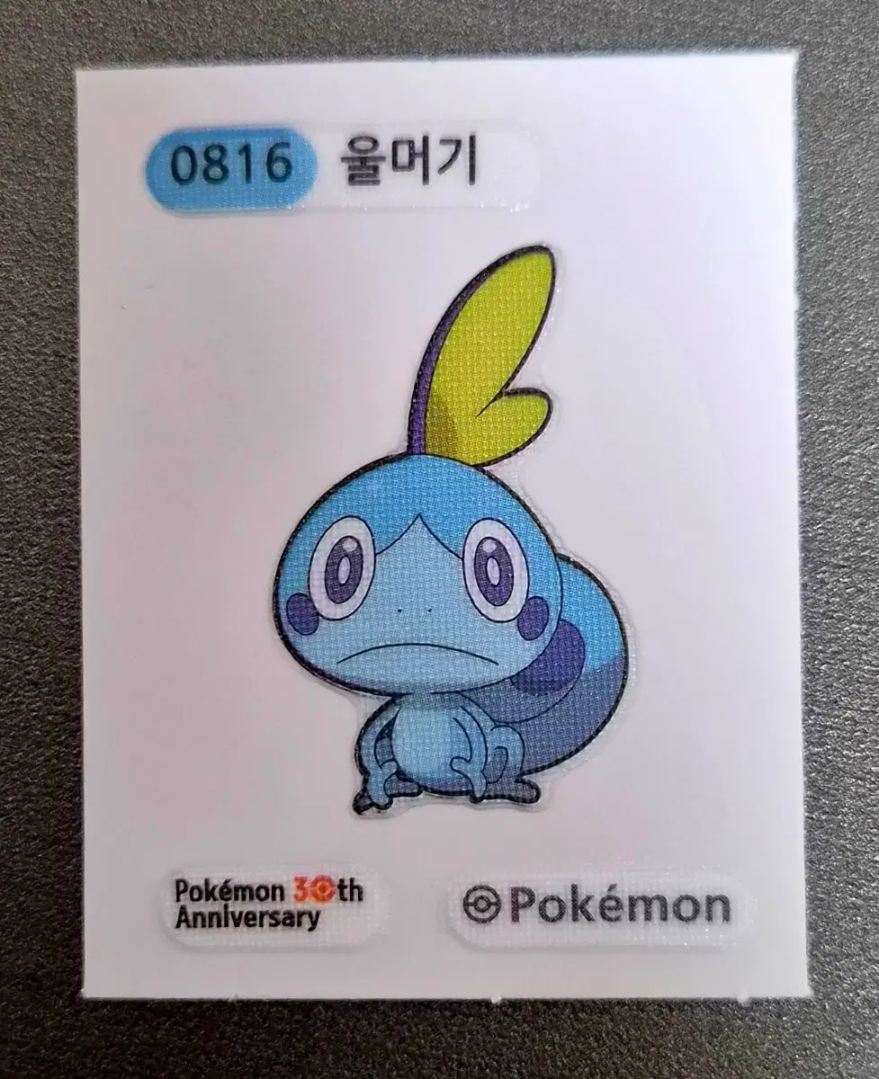 포켓몬 30주년 울머기 스티커