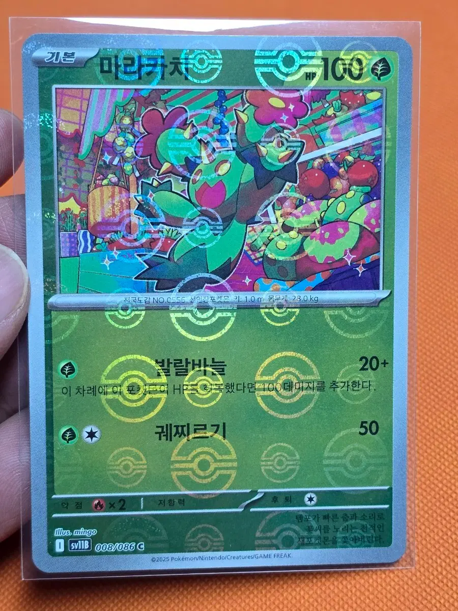포켓몬카드 마라카처 몬스타볼& AR