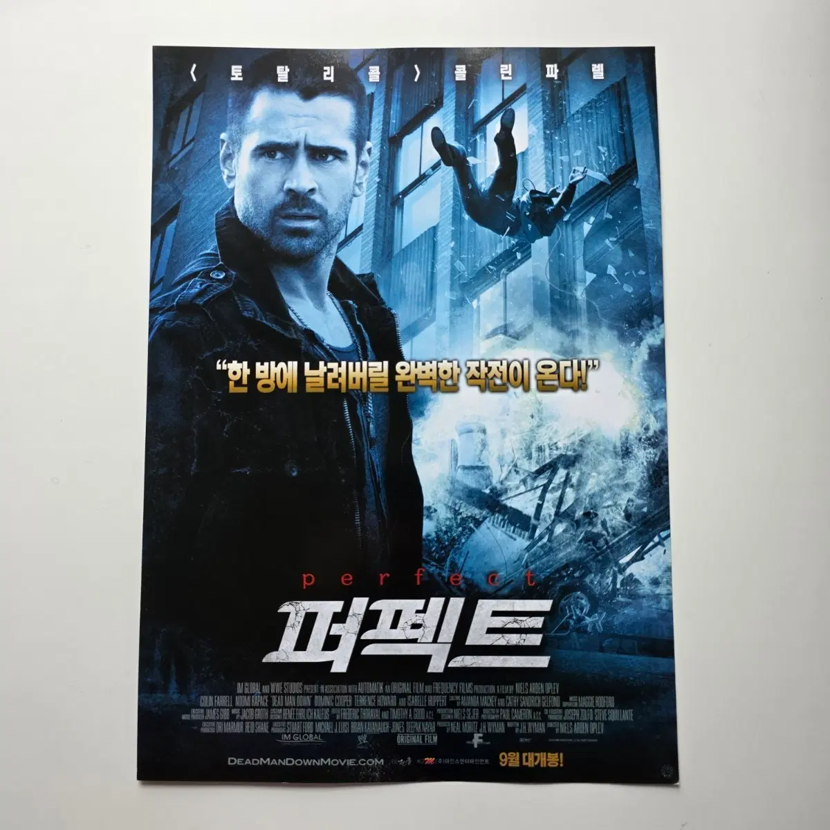 [전단지] 퍼펙트 2013 영화 포스터