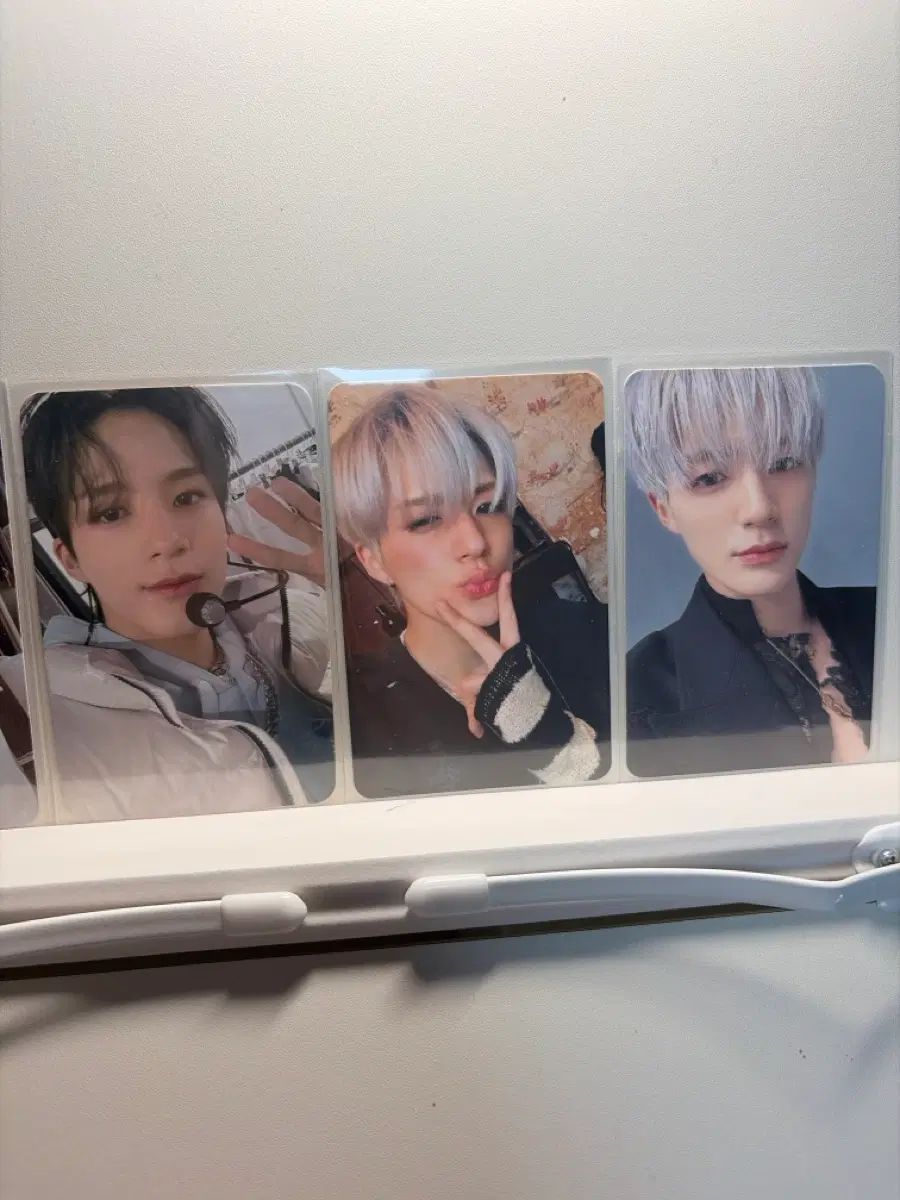 엔시티 제노 포카 일괄