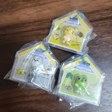 SEVENTEEN MINITEEN 패키지 참