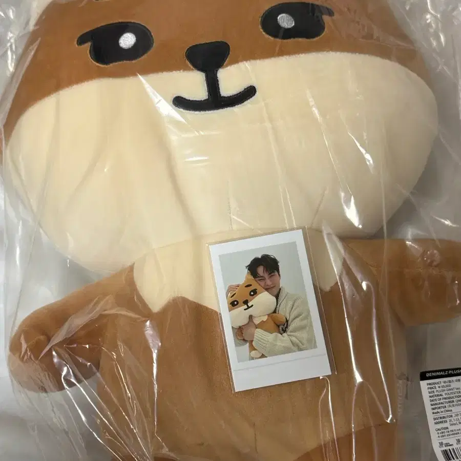 자이언트 케 폴라 포함 양도
