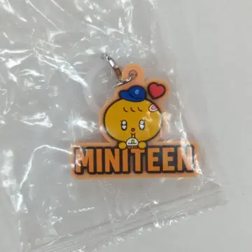 SEVENTEEN MINITEEN SEUNGKWAN 통통 메지루시 액세서리