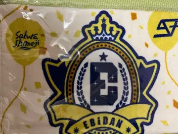 EBiDAN THE LIVE 2026 15주년 타월