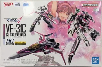 반다이 HG VF-31C 지크프리드 (미라주 파리나 지너스기) 9