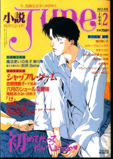 매거진 매거진 1994년(헤이세이 6년) BL 소설 잡지 !! 소설 JUNE 9402