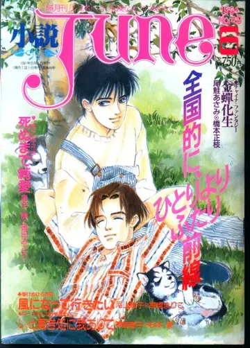 매거진 매거진 1991년 (헤이세이 3년) BL 소설 잡지 !! 소설 JUNE 9106