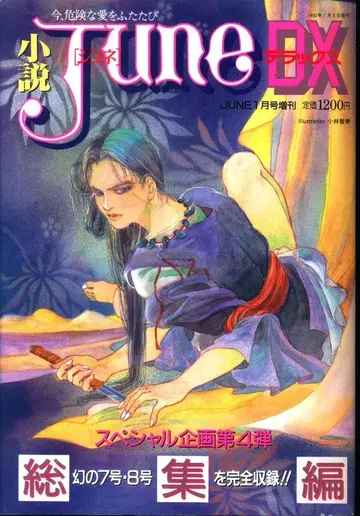 매거진 매거진 1991년(헤이세이 3년)의 BL 소설 잡지 !! 소설 JUNE DX 총집편 4 92/01 92/01