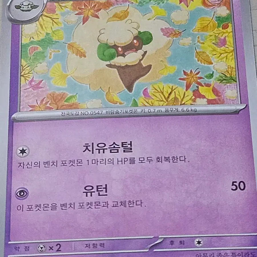 [최저가] 포켓몬카드 엘풍