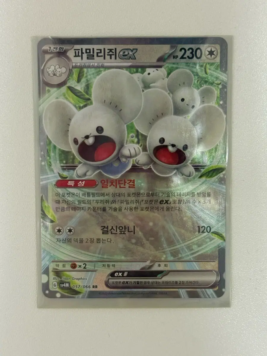 포켓몬카드 파밀리쥐 EX RR 057/066