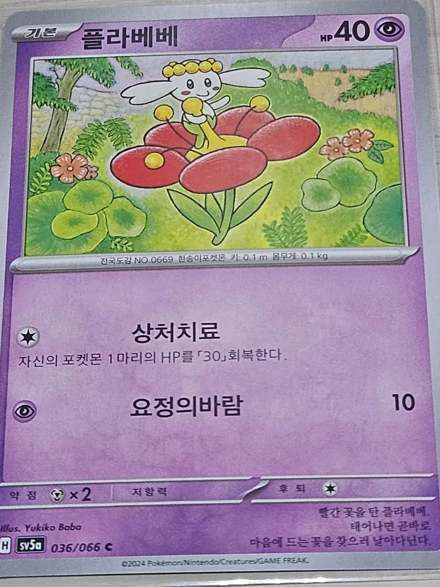 [최저가] 포켓몬카드 플라베베