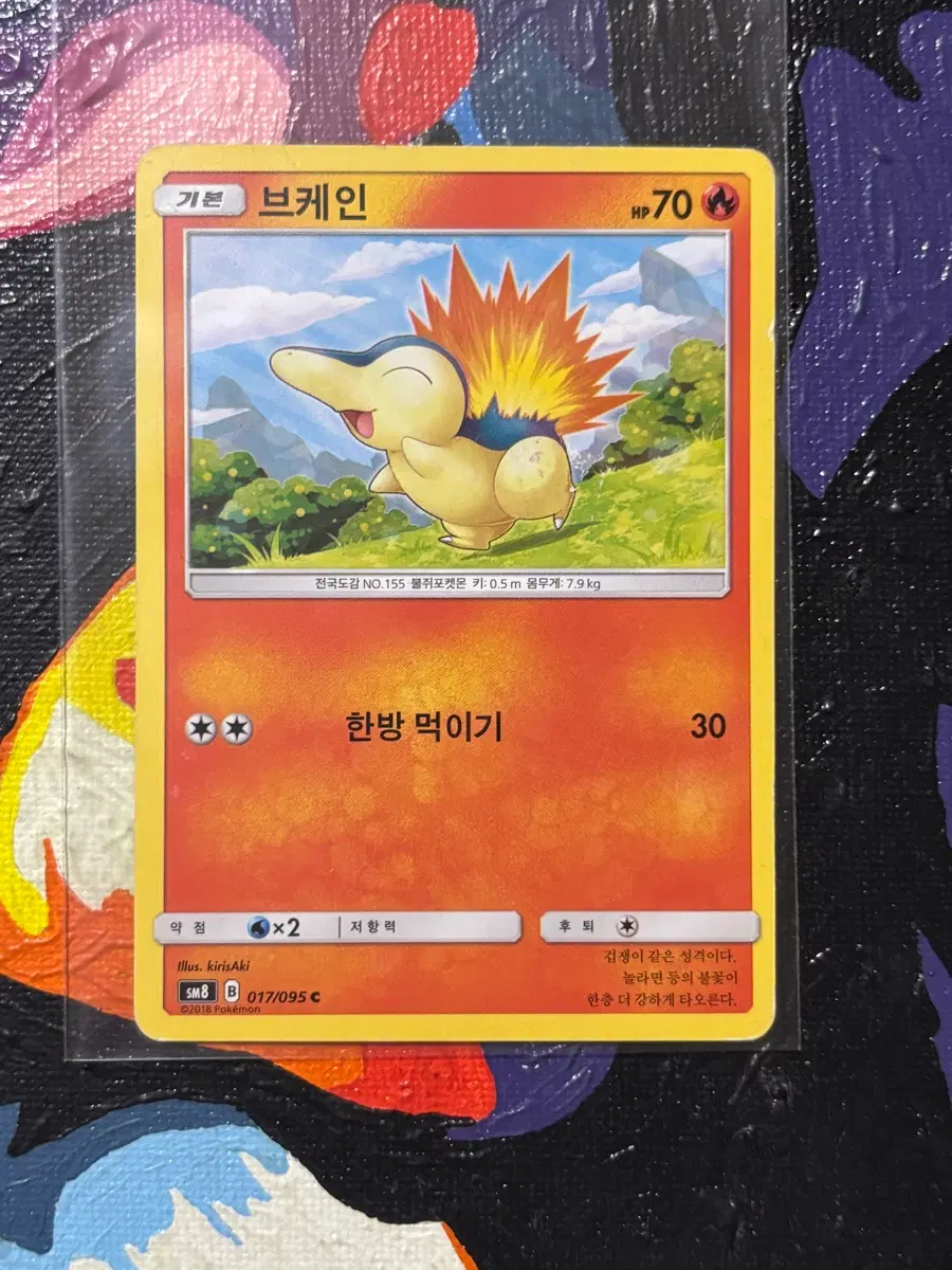 포켓몬스터 브케인sm8 포켓몬 카드 인테리어 소품 꾸미기용 포장용