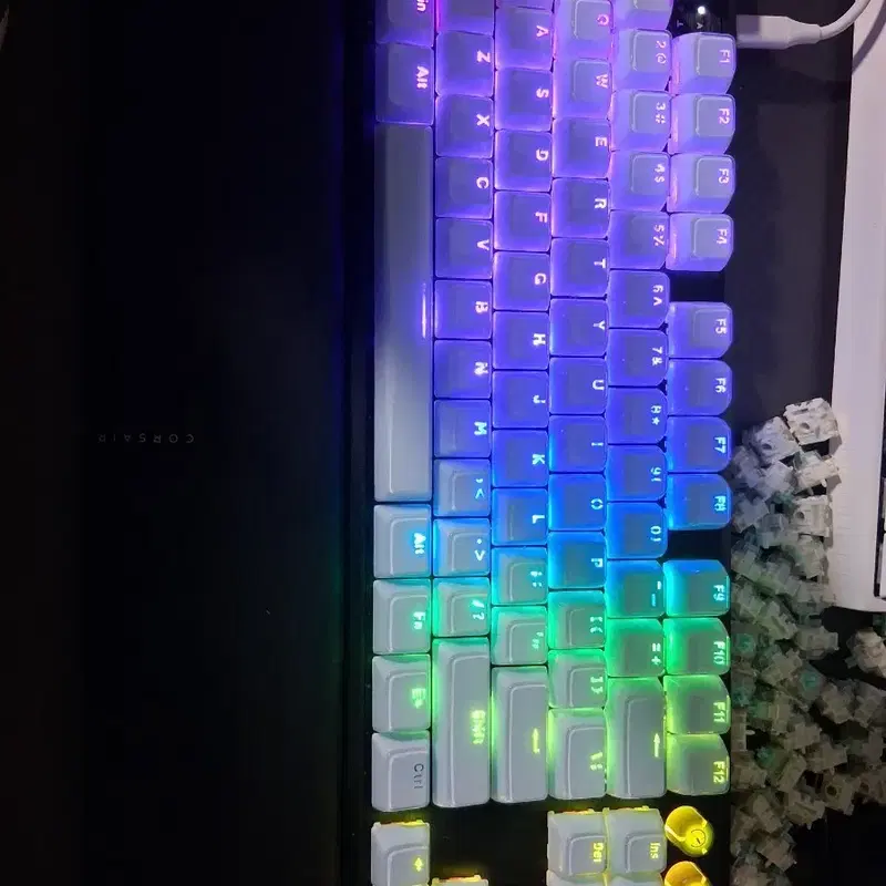 커세어 K70 PRO TKL MGX 커스텀!
