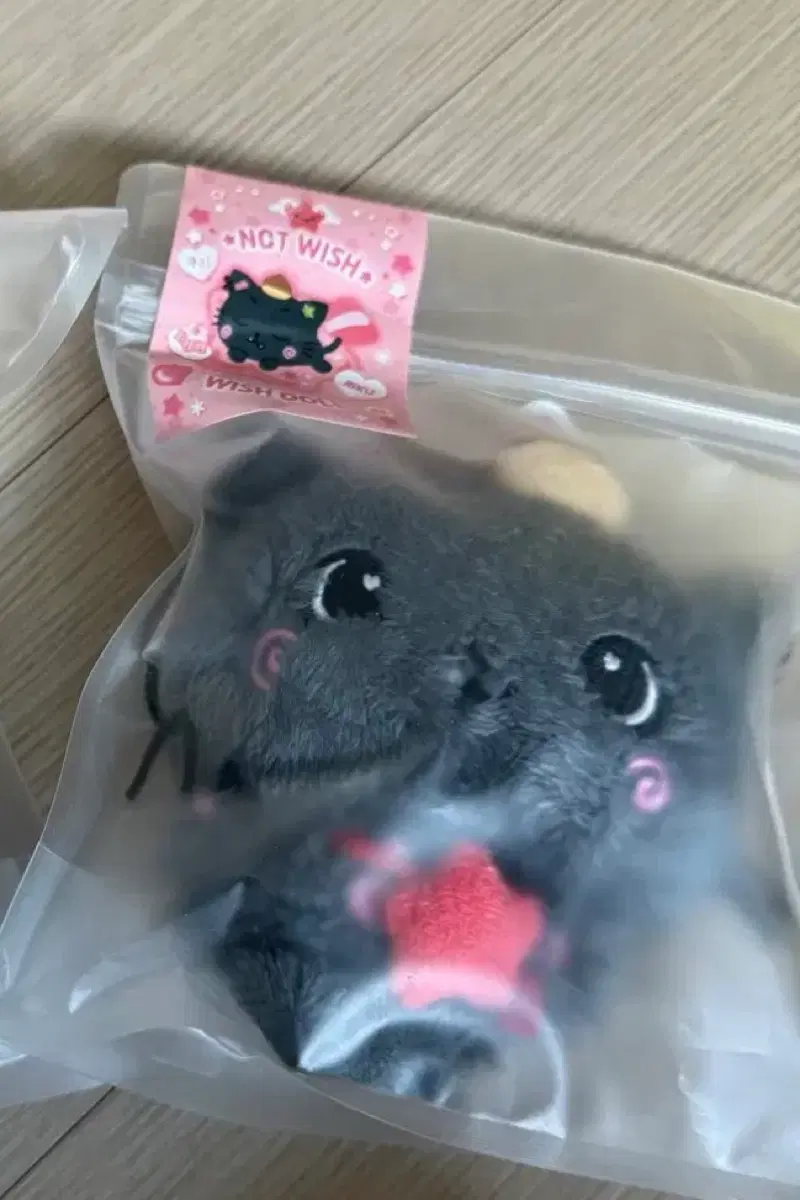 엔시티위시 위시돌 쿠리