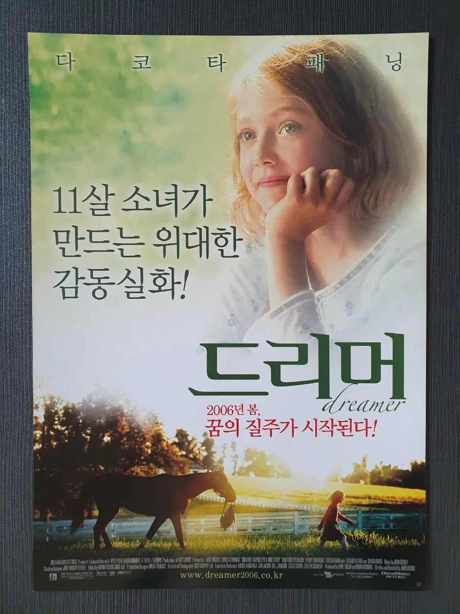 드리머 영화 전단지 팜플렛 A4