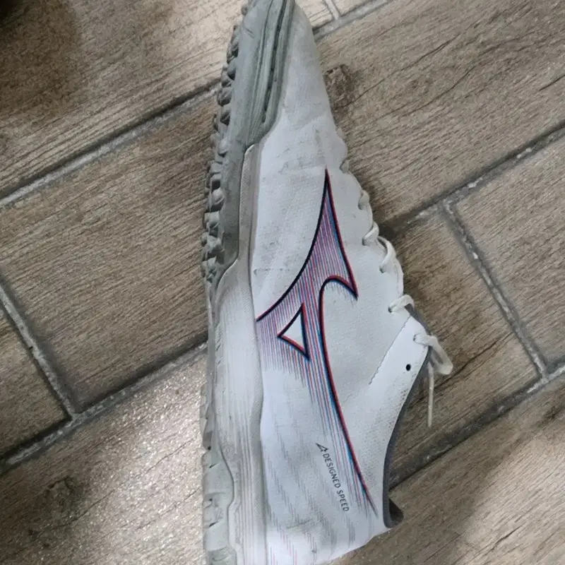 풋살화