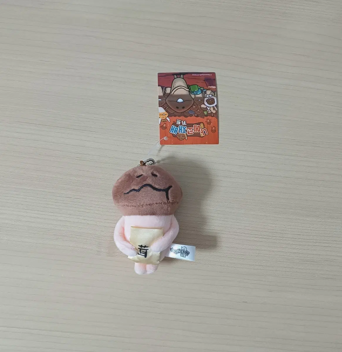 마지막할인) 나메코 재배 키트 인형