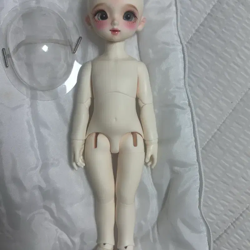 오늘만 10 내일부터 15 치카비 세라 구관 구체관절인형 USD