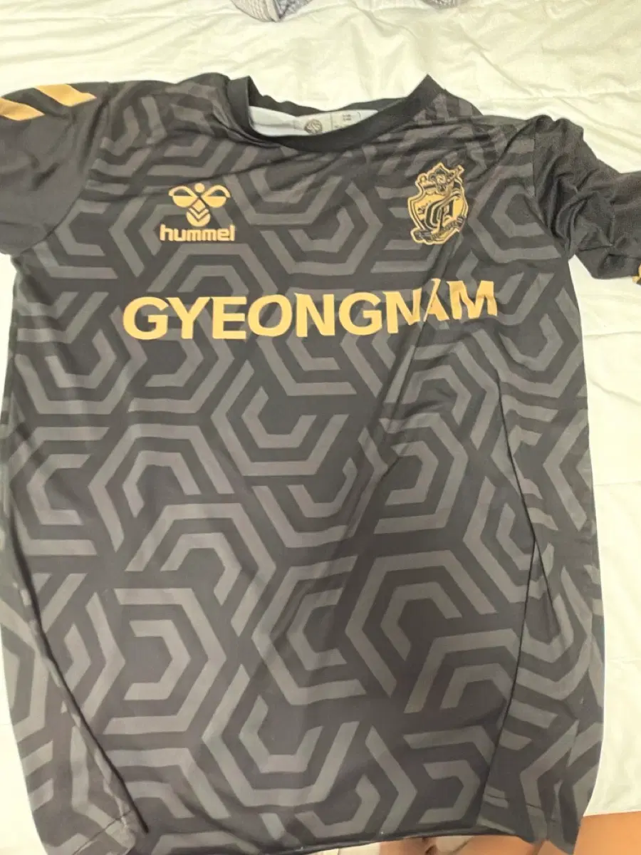 경남fc반팔 선수지급용